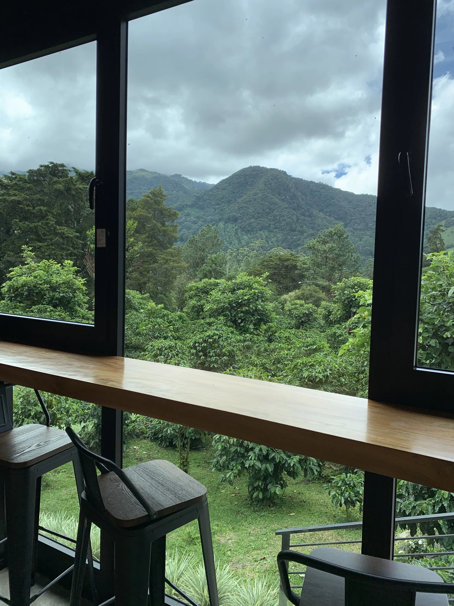 A wooden bar overlooks rows of coffee bushes and forested ridges through floor-to-ceiling windows on a cloudy day.