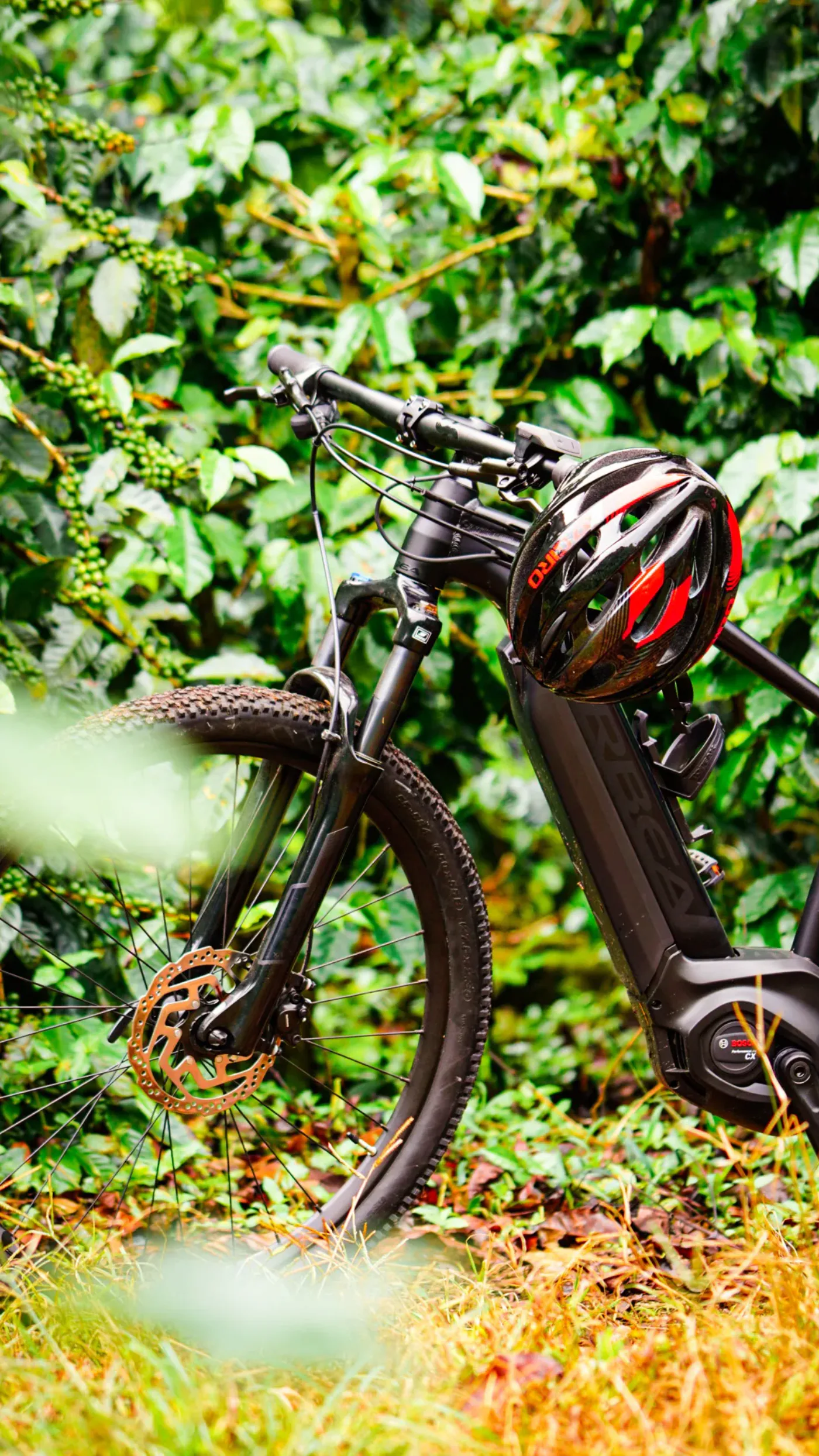 Un grupo recorre los cafetales y colinas de Boquete en e-bike — sin cansarse, con todas las vistas