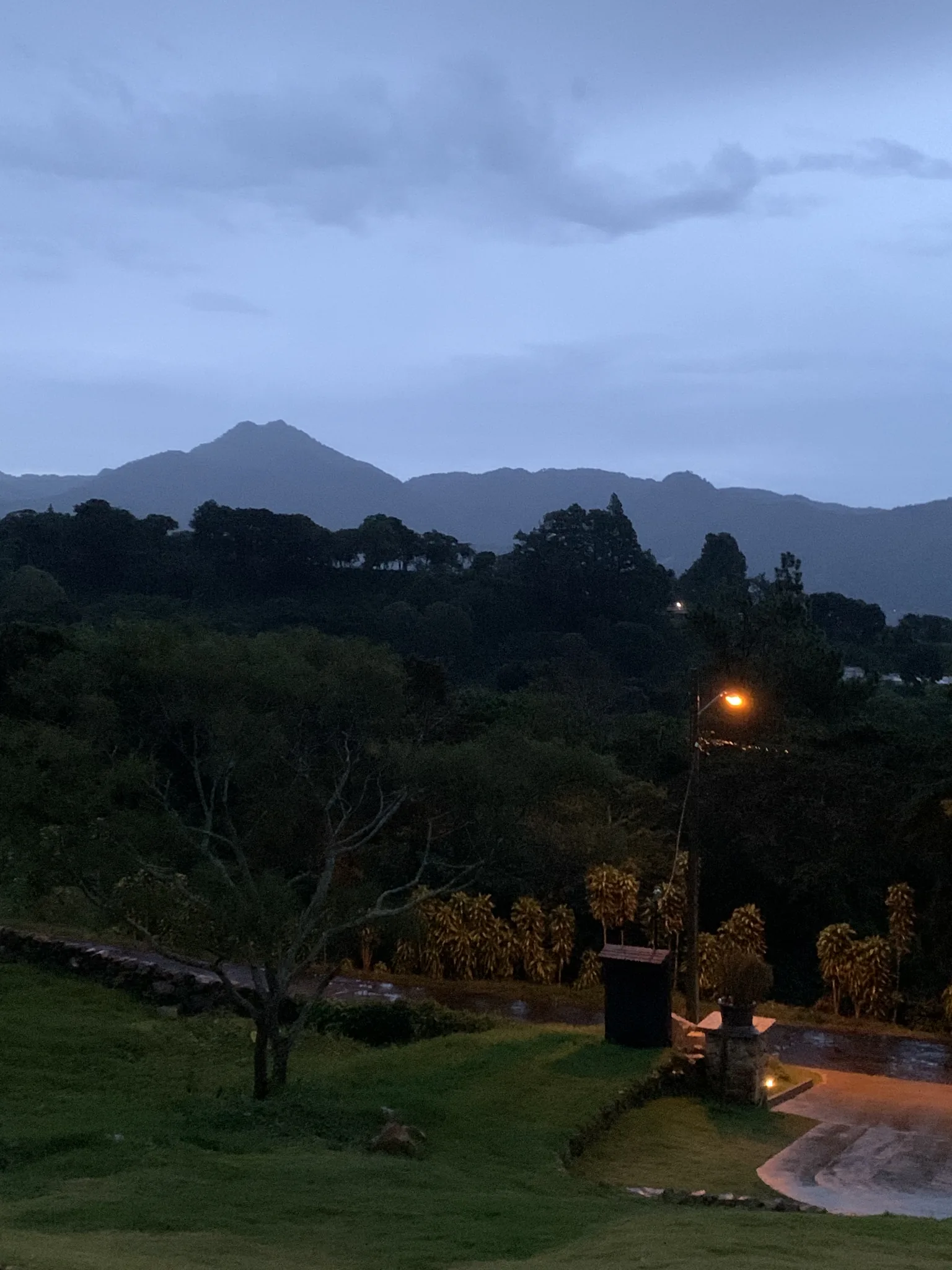 La silueta de un pico se alza detrás de una cresta boscosa mientras cae la noche sobre una entrada iluminada y unas palmas.