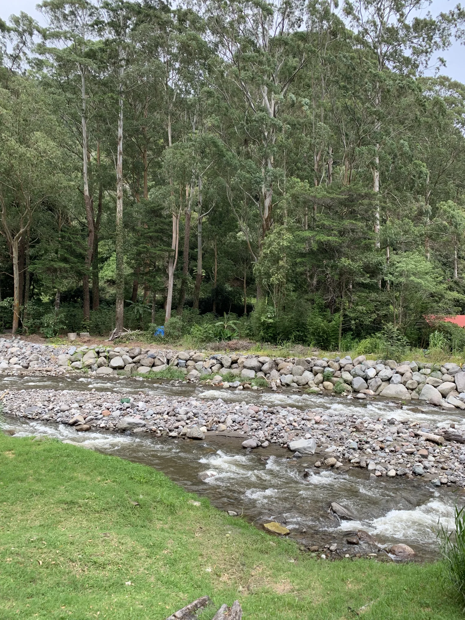 A shallow rocky river runs past a stone retaining wall and a stand of tall trees, with a red roof glimpsed beyond.