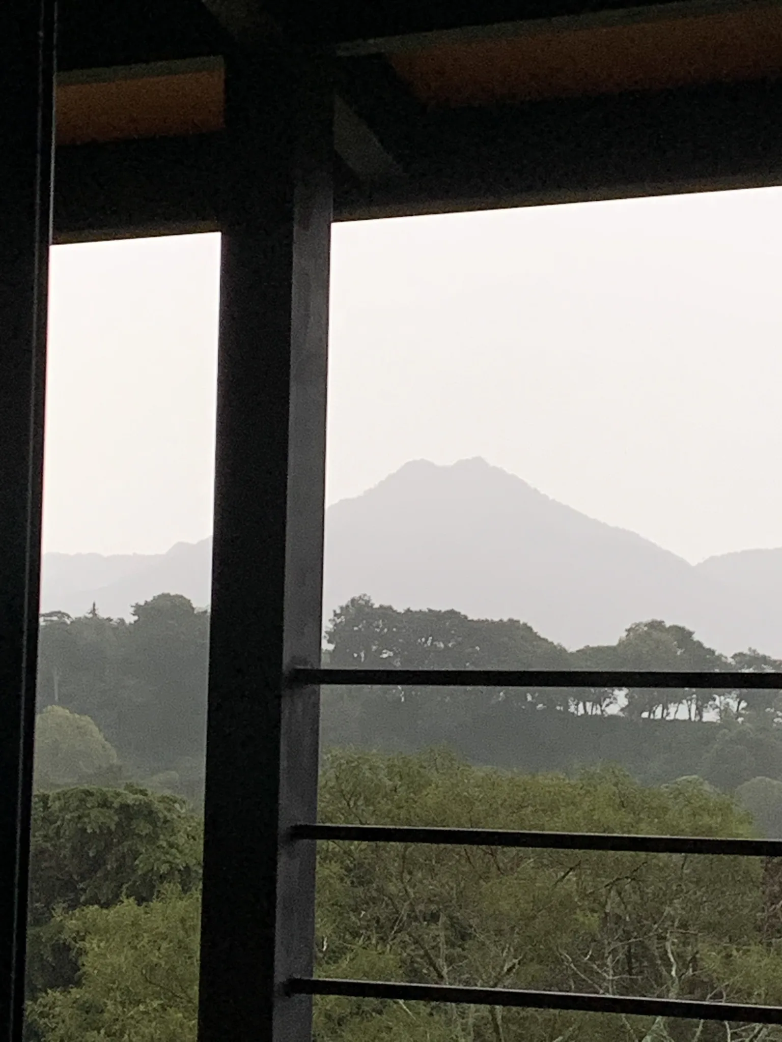 Una montaña de un solo pico, difusa por la calima, se asienta baja en el horizonte, enmarcada por una ventana y una fila de árboles.