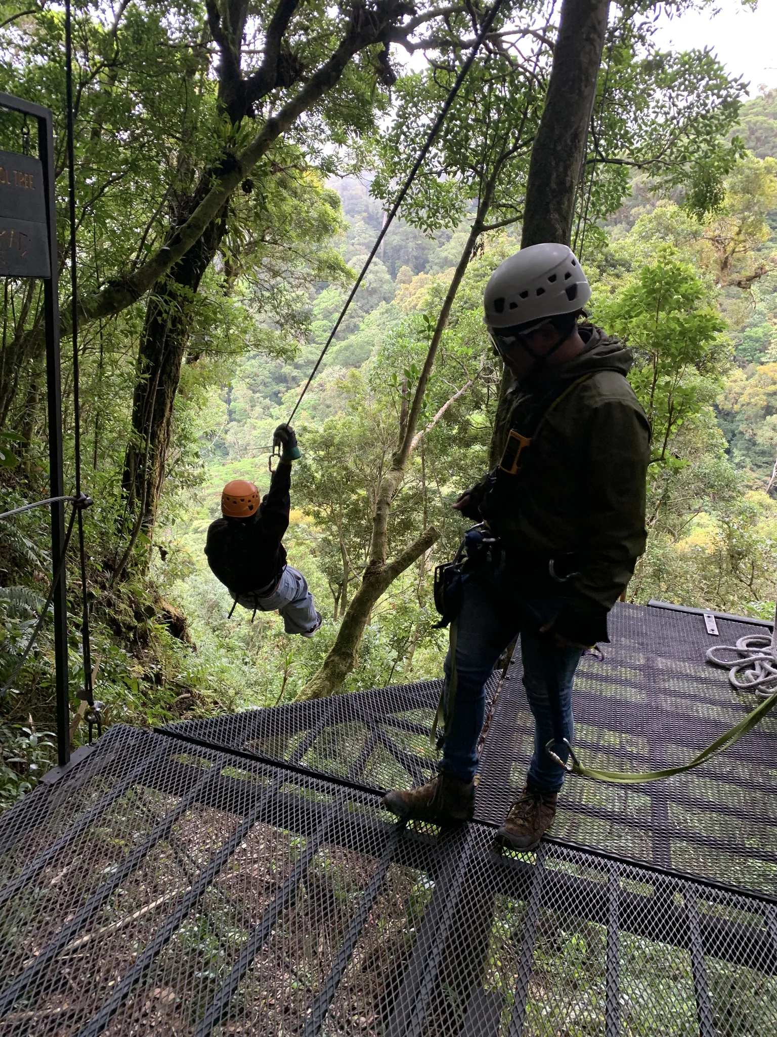 A helmeted rider glides along a zip line over forest canopy while another waits harnessed on the platform.