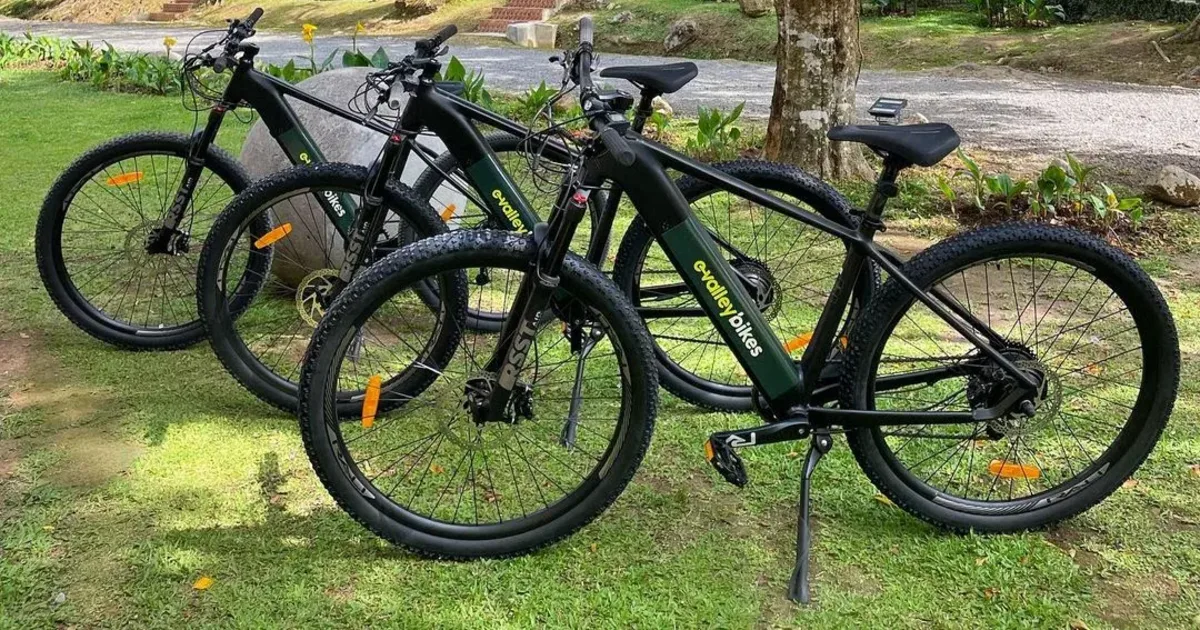 Tours en bicicleta en El Valle de Antón: comparativa honesta de precios y experiencias