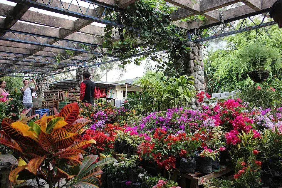Things to Do in El Valle de Antón