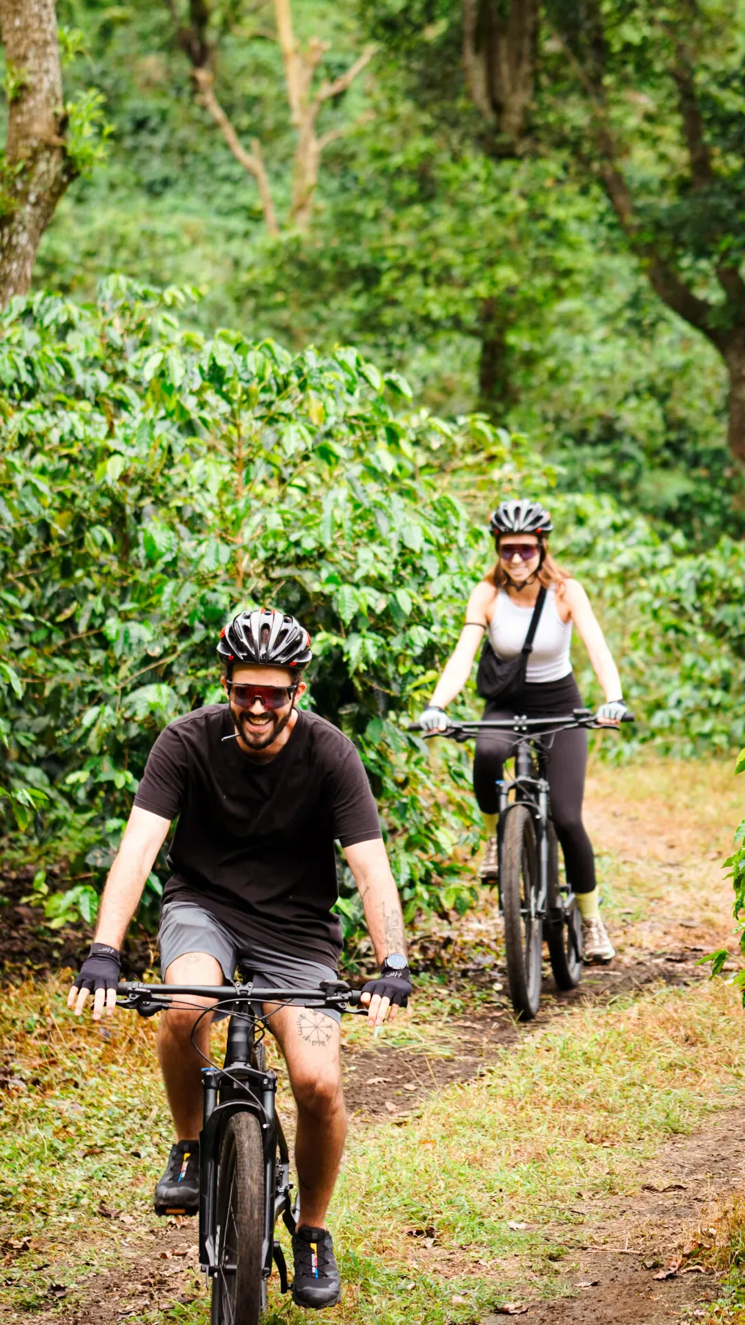 Tours in Boquete, Panama — Bikes, Coffee & What to Expect (2026)
